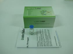 Acetyltransferase activity Kit